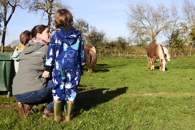 Des personnes regardent des chevaux dans le pré